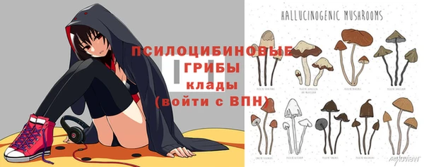 ешки Горно-Алтайск
