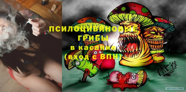 молекула духа Липки
