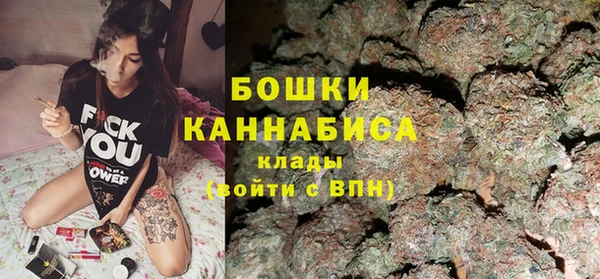 ГАЛЛЮЦИНОГЕННЫЕ ГРИБЫ Горняк